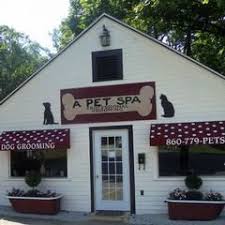 Grooming, daycare, self wash, training A Pet Spa Boutique Pet Spa Pet Resort Dog Spa