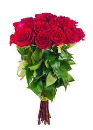 Tre rose rosse, ad alta risoluzione. 241 971 Foto Mazzo Rose Rosse Immagini E Vettoriali