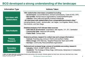 Bcg Presentation Solving Dallas Stray Dog Problem