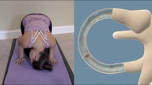 Half Somersault Maneuver To Treat Bppv Vertigo Youtube