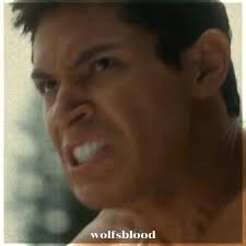 Exploring the Twilight Saga with Brady Fuller