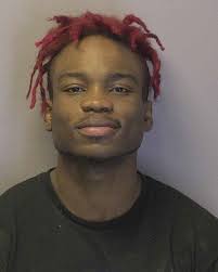 Crime Watch Gallery, March 20-26