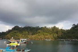 Klik menu tools > install ms word plugin. Fakta Menarik Pulau Sempu Di Malang Selatan Yang Kaya Akan Flora Dan Fauna Semua Halaman Kids