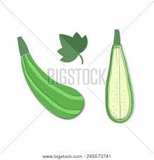 Can i cut zucchini leaves. Set Two Paper Cut Vector Photo Free Trial Bigstock
