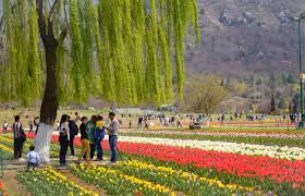 The best places to visit in kashmir in 2021 top 5 best places for rafting in india. A Guide To Know Everything About Tulip Festival In Kashmir In 2021