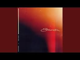 Senorita Best Song Songs Best Songs News Songs