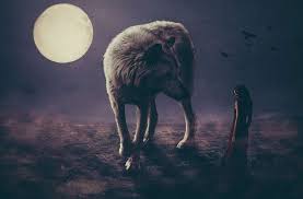 The baldwin effect was demonstrated with fruit flies in 20th century. 7 Gut Instincts You Should Never Ignore Lonerwolf