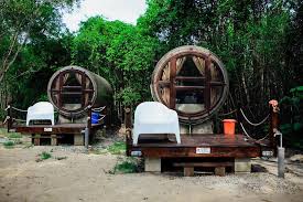 .kecuali beruk yang berada diatas, tetapi rantai dileher dikawal dari bawah. Penginapan Kapsul Dan Chalet Atas Pokok Yang Unik Penginapan