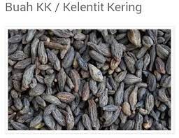 Kapsul serapatlicious (100% herba akar serapat) 17. Buah Kelentit Kering Kopi Gadis By Zaidah Senai Shop Facebook
