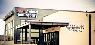 We did not find results for: Top Rated Local Veterinarians Seven Hills Veterinary Hospital Inc