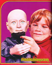 Plaid Stallions : Rambling and Reflections