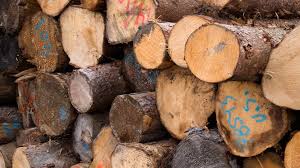 Where can i find firewood for our fireplace? How To Get Free Lumber For All Of Your Diy Projects