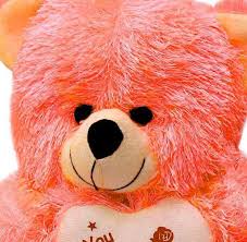 You can also upload and share your favorite cute bear wallpapers. Beautiful Teddy Bear Images Pics Hd Good Night Images Good Night