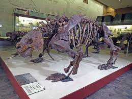 Image result for Scutosaurus