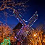 Carols on the Green