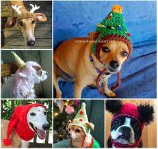 Crochet Dog Hat Pattern Ideas Best Collection Video Tutorial Crochet Dog Sweater Crochet Dog Hat Crochet Dog