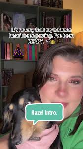 Meet Hazel Basil: The Adorable Dachshund Star