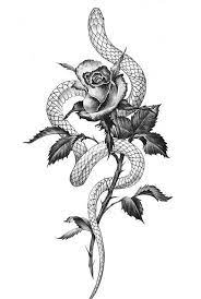 Pin By Tiarrah Vasbinder On Tattoos Serpent Tattoo Snake And Rose Tattoo Design Snake Rose Tattoo Design