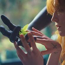 Bird Song Florence And The Machine Meaning Hunger Florence And The Machine Song Wikipedia
