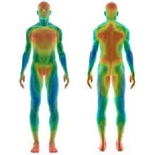 Ab 38° celsius spricht man bei erwachsenen und jugendlichen von fieber. Thermoregulation Korpertemperatur Und Leistungsfahigkeit Rennerxxl Magazin