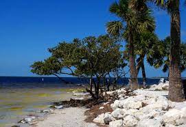 Tarpon Has It S Own Lovely Strip Of Prestine Beach Tarpon Springs Florida Beaches Near Me Tarpon Springs