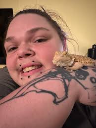 What are the building plans for a 4x2x2 bearded dragon enclosure?