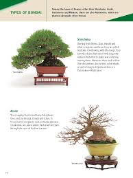 Prostrata juniper bonsai and san jose juniper bonsai. The Ultimate Bonsai Handbook The Complete Guide For Beginners Amazon De Hirose Yukio Fremdsprachige Bucher