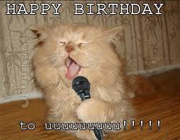 35 Cat Birthday Memes That Are Way Too Adorable Sayingimages Com Send these memes to your friends and family to make them laugh and healthy so that they can.
