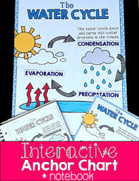 Interactive Anchor Chart Interactive Notebook Water Cycle