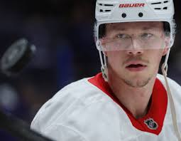 Hugo raymond om lillebrorsan som växte upp och blev en superstjärna i nhl:  ”lucas älskar att vinna mer än vad som är normalt”