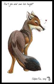 White fox animation studio katanagatari anime arctic fox, white fox, studio, text, logo png. Fox Fan Art Fox Fox Art Furry Art Animal Drawings