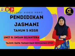 The journal of strength & conditioning. Pendidikan Jasmani Tahun 5 Unit 8 Insan Sejahtera Topik Daya Tahan Dan Kekuatan Otot Youtube