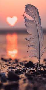 Beautiful Wallpaper Pretty Wallpapers Beautiful Nature Wallpaper Beautiful Wallpapers