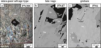 Typical pi systems use a coil of wire on one side of the arch as the transmitter and receiver. The Imprint Of Hydrothermal Fluids On Trace Element Contents In White Mica And Tourmaline From The Panasqueira W Sn Cu Deposit Portugal Springerlink