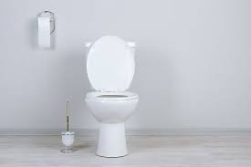 Flush the toilet off to get rid of residue, repeat if needed. How To Get Rid Of Toilet Ring Forever Everyday Cheapskate