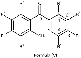 Image result for Galium scabrellum
