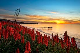 If you prefer to pay with cash, an atm is located on the lower level of scripps memorial hospital la jolla (near the elevators). Elevation Of Calderon Rd San Diego Ca Usa Topographic Map Altitude Map