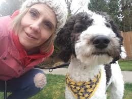 Goldendoodle puppy fight club