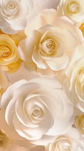 Belaya Roza In 2020 Pink Flowers Wallpaper Flower Phone Wallpaper Beautiful Flowers Wallpapers