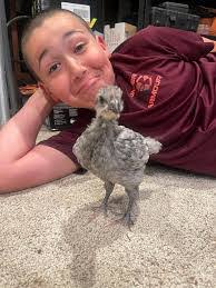 Amber Link's Instagram, Twitter & Facebook