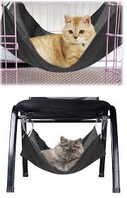 But their claws can damage your furniture. Choosing The Best Cat Tree With Hammock Can Be Tricky Let Our Guide Help You Make The Best Choice Catfurniture Cool Cat Trees Diy Cat Hammock Cat Site