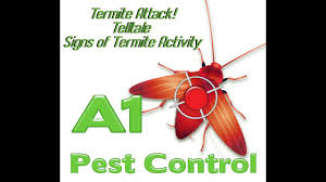 Too, the dead animal could be trapped inside a wall void. Pest Inspection Sydney Pest Reports Termite