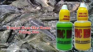 Umpan Ikan Mas Rame Paling Ampuh Dan Teruji 2018 Ikan Mas