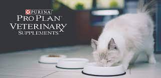 Below you can view recordings of past webinars on a variety of topics. Hydration Fixation Beyond The Water Bowl Vetgirl Veterinary Continuing Education Webinars