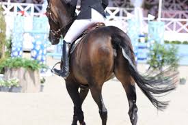 Volgens molenberghs bestaat maar toch zijn er twee bezorgdheden: Overlegcomite Meer Versoepelingen Vanaf 9 Juni Equnews Belgium