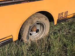 Image result for School Bus Yellow 1994 Truck