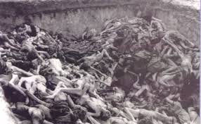 images?q=tbn:ANd9GcRj6zUcbk2kAYTGs6FRYmLdbH5-X8B4GYahPA8CjMLC-DoXZ3At