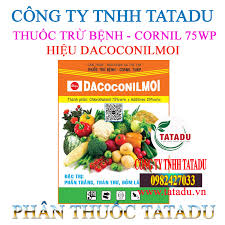 Cornil 75WP