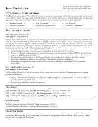 Notice that the spacing is consistent in our internal auditor cv sample, the candidate emphasizes his qualifications by being as specific as. Government Auditor Cv May 2021