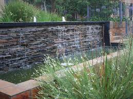 Image result for Gomphostigma